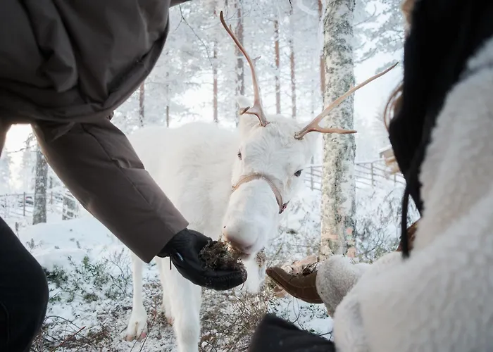 North Havu 16b By Hilla アパート *